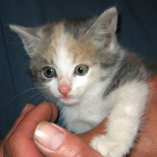 Helen Mitchell Photo 14