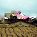 Edwin Arce Photo 42