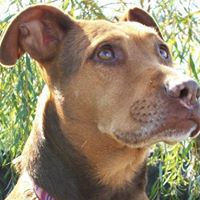 Christopher Larsen Photo 35