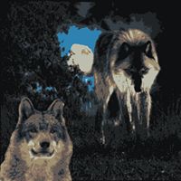 Anna Hensley Photo 44