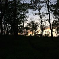 Matthew Roth Photo 7