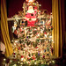 Janet Winters Photo 14