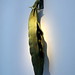 David Little Photo 30