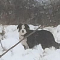 Carol Murray Photo 21