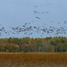 Theresa Land Photo 8
