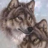 Julie Mcmillin Photo 13