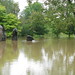 Linda Rains Photo 14
