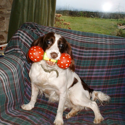 William Charlton Photo 22