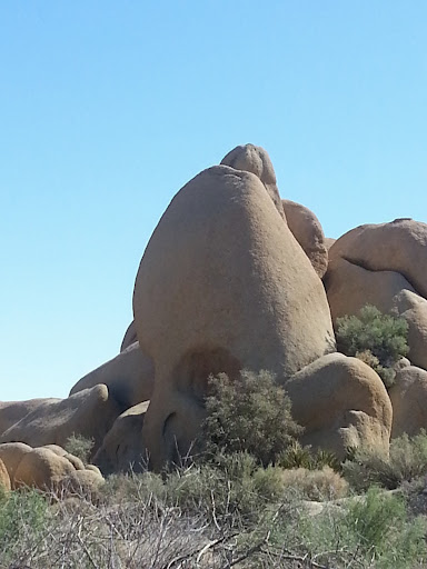 Doug Maxwell Photo 35