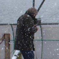 Stephen Simpson Photo 25 Stephen Simpson Photo 25