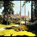 Chester Curtis Photo 11