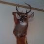 Michael Pruitt Photo 25
