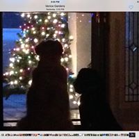 Susan Brooker Photo 11