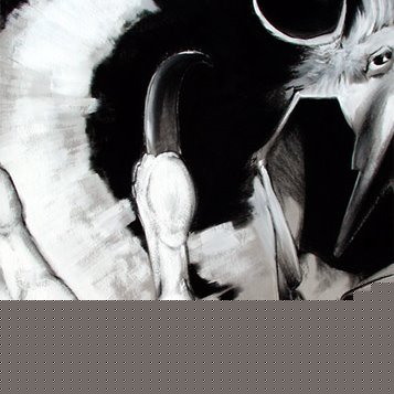 Hernan Rodriguez Photo 22