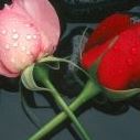 Ruth Walsh Photo 31