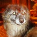 Elizabeth Bianchi Photo 17