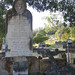 Francis Devine Photo 16