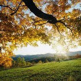 Julie Applegate Photo 10