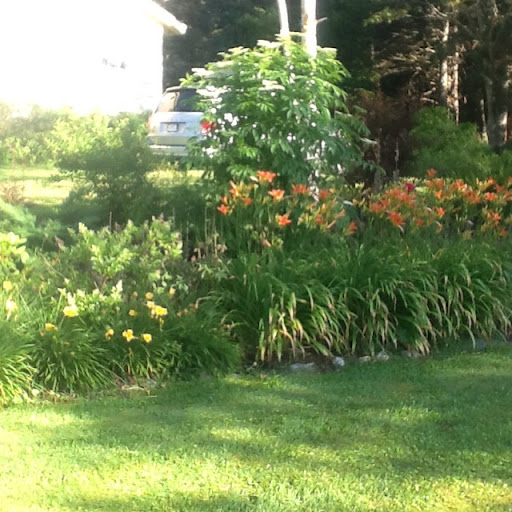 Judith Watson Photo 4