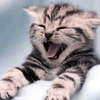 Mary Clevinger Photo 4