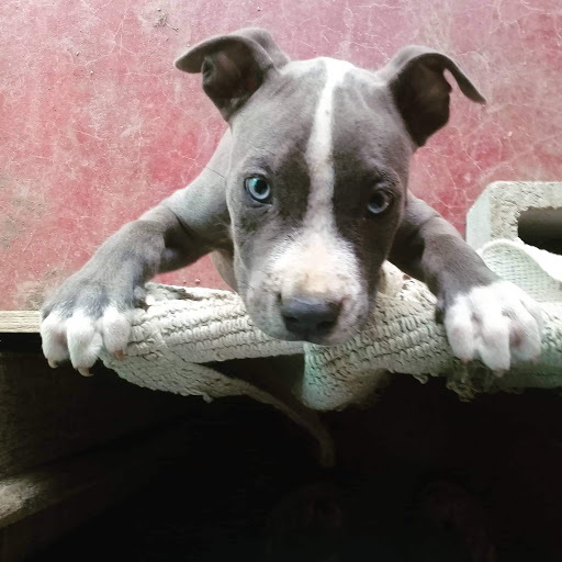 Melissa Grogan Photo 4