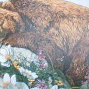 Deborah Mcdonnell Photo 12