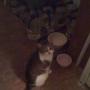 Karen Coburn Photo 40