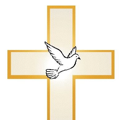 Stacey Barber Photo 34