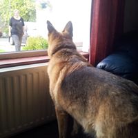 Linda Goodall Photo 14