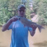 Travis Gregory Photo 22