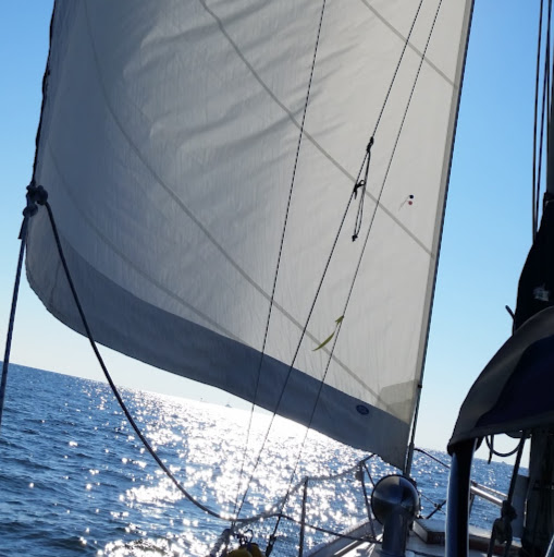 David Reese Photo 33 David Reese Photo 33