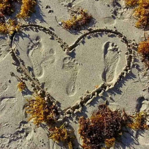 Yanet Fernandez Photo 17