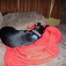 Bentley Knotts Photo 5