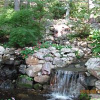Ann Coffman Photo 6