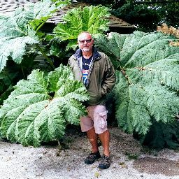 Philip Powell Photo 31 Philip Powell Photo 31