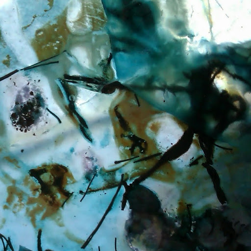 Sheryl Vaughan Photo 6