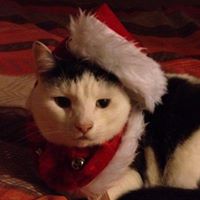 Angela Schofield Photo 21