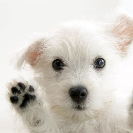 Jimmy Carter Photo 12