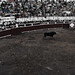 Alberto Balderas Photo 21