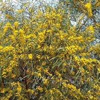 Barbara Witt Photo 13