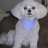 Nancy Ritchey Photo 4