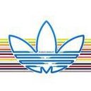 Paul Whiteside Photo 12