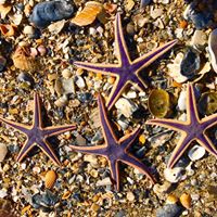 Pamela Jensen Photo 14