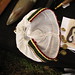 Julie Martens Photo 10