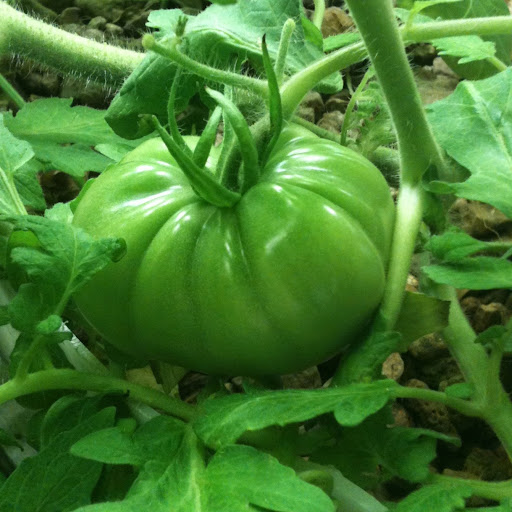 Jason Meadows Photo 13