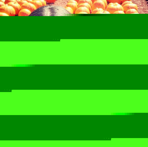 Stephanie Schultz Photo 5