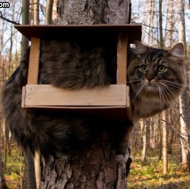 Marsha Armstrong Photo 38