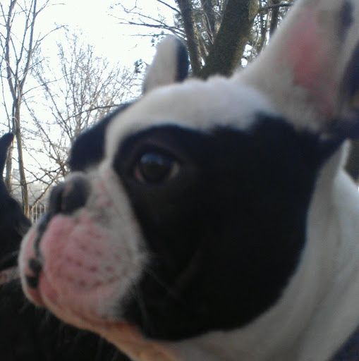 Rachel Hedrick Photo 26