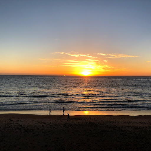 Dale Stephens Photo 40