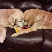 Michelle Delaney Photo 17